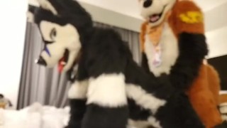 Taiky X Johnny-Huskey MFF’2019