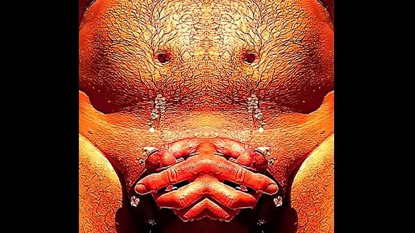 color my P